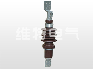 BD-10(20) KV/800A-3150A    BDW-10(20) KV/800A-3150A Bush